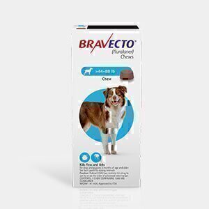 Bravecto 1000mg Chewable