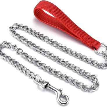 Chain Leash