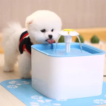 pet water fountain