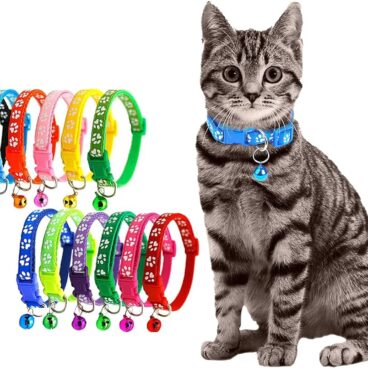 Cat Paw Collar with Bell