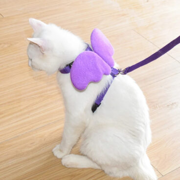 Cat Angel Wings Harness + Leash