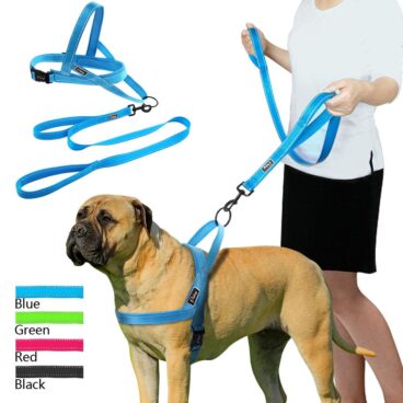 Dog Nylon Body Harness With Leash