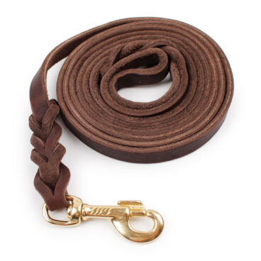 GSD Leather Leash