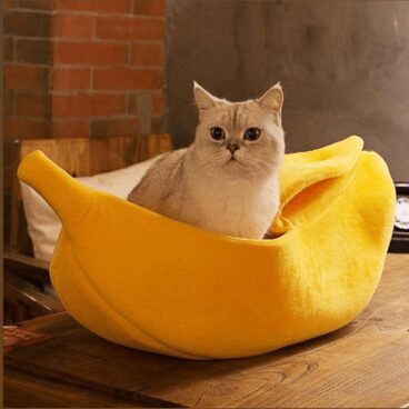 Banana Bed