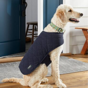 Dog Jacket