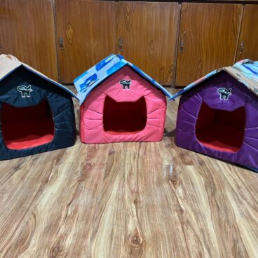 Cat Face Cat House 2